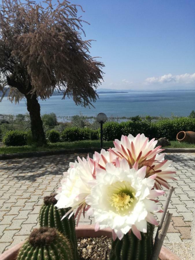 B&B Torre Del Lago Trasimeno Passignano sul Trasimeno Buitenkant foto